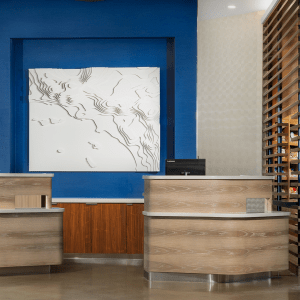 Raised-Relief Topographic Map | Courtyard by Marriott Santa Monica